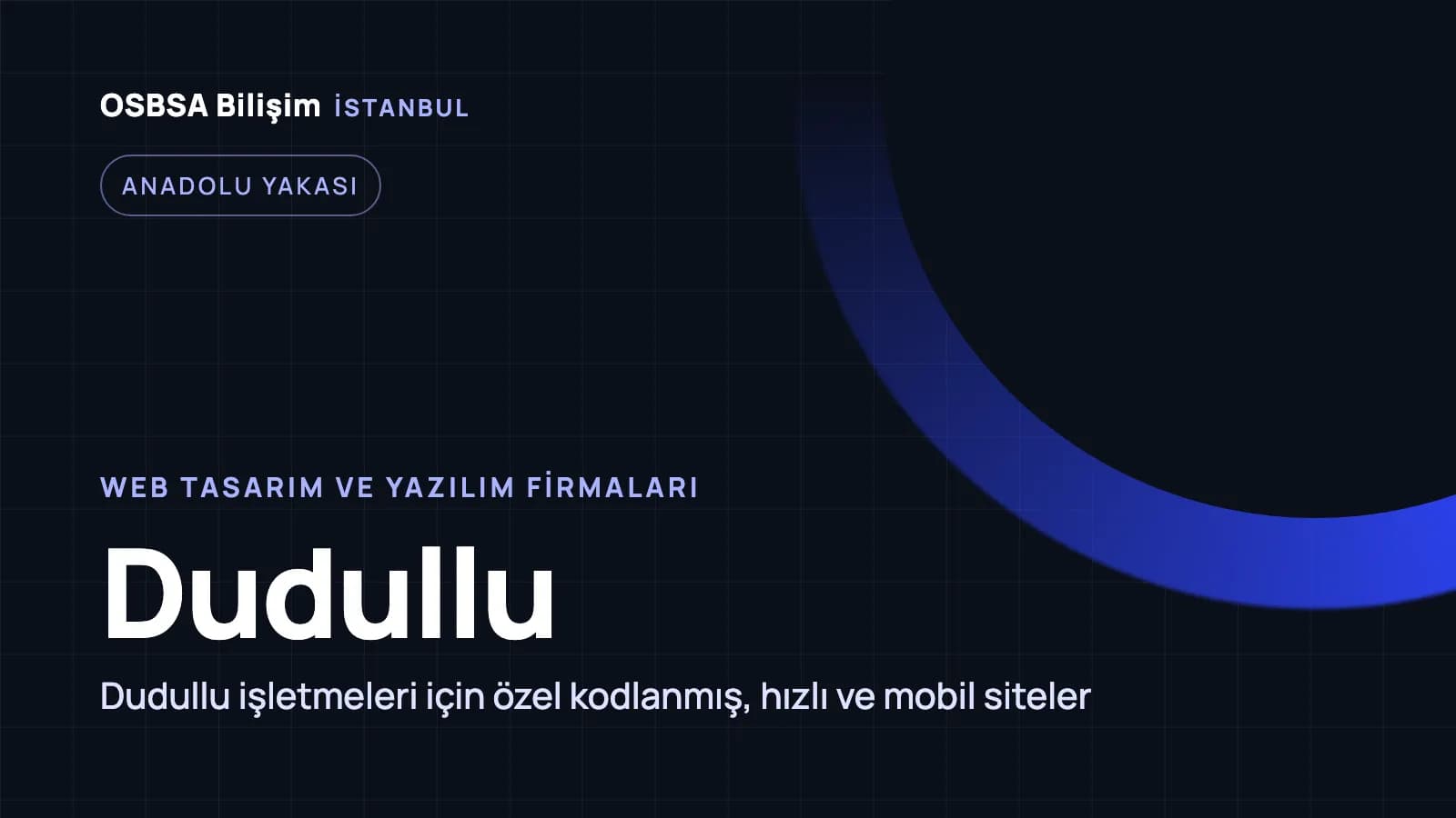 Dudullu web tasarım firmaları, Dudullu web yazılım ajansı