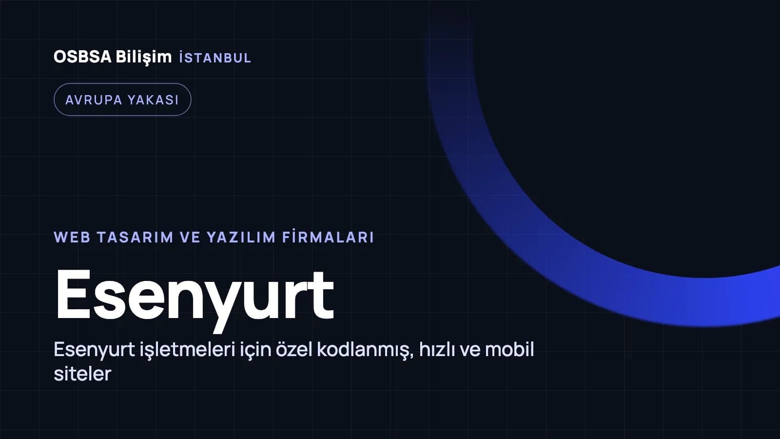 Esenyurt web tasarım firmaları, Esenyurt web yazılım ajansı