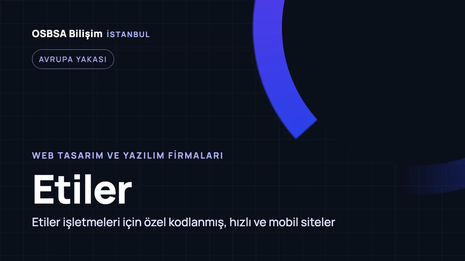 Etiler web tasarım firmaları, Etiler web yazılım ajansı
