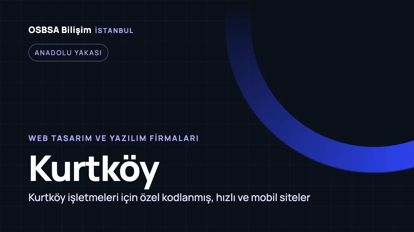 Kurtköy web tasarım firmaları, Kurtköy web yazılım ajansı