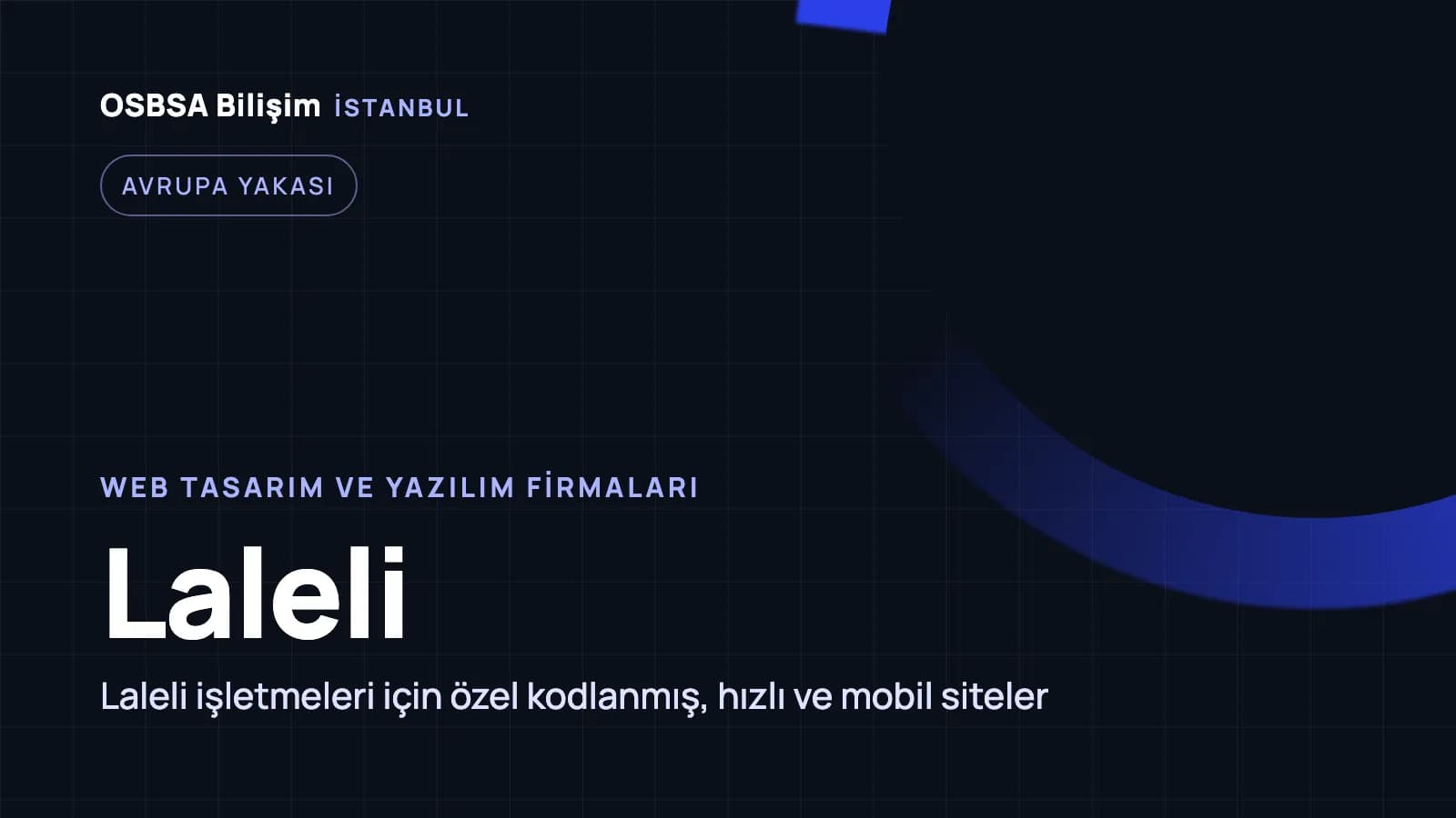 Laleli web tasarım firmaları, Laleli web yazılım ajansı