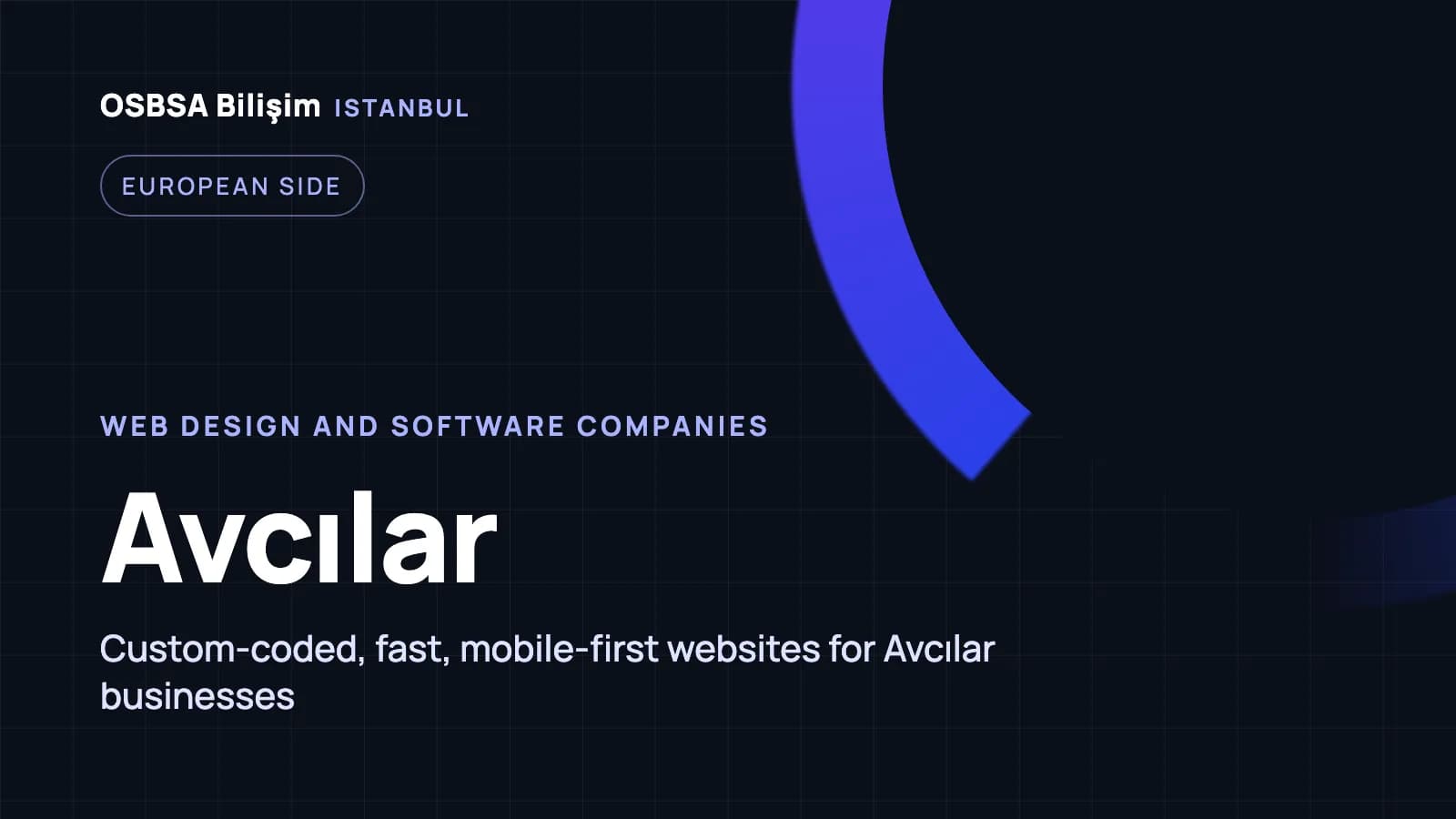 Avcılar web design companies, Avcılar web software agency