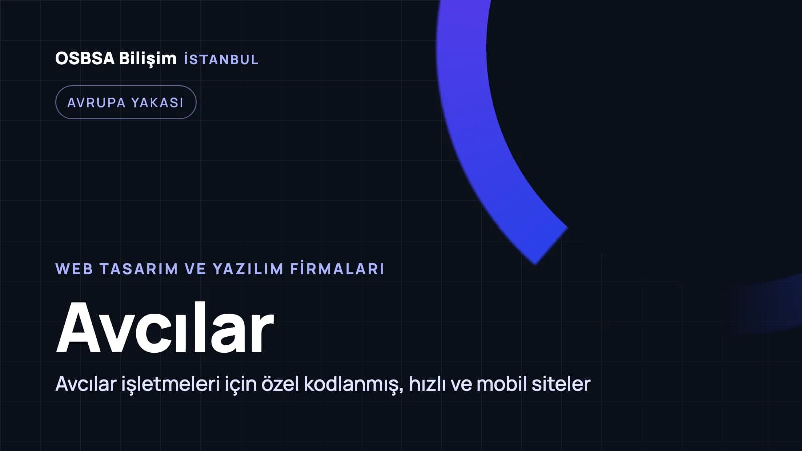 Avcılar web tasarım firmaları, Avcılar web yazılım ajansı