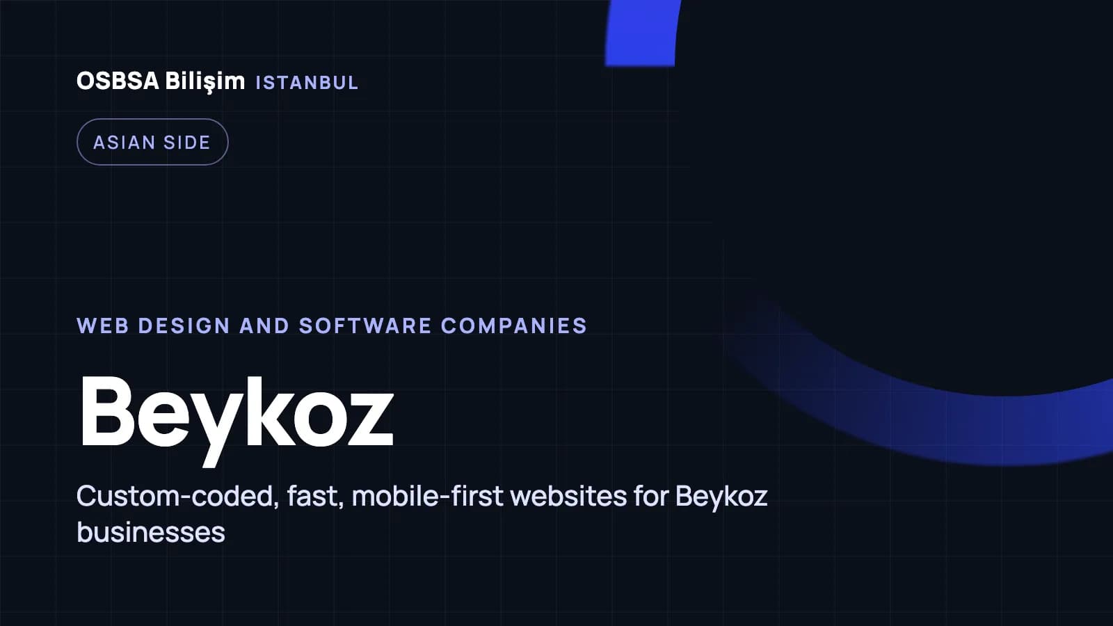 Beykoz web design companies, Beykoz web software agency