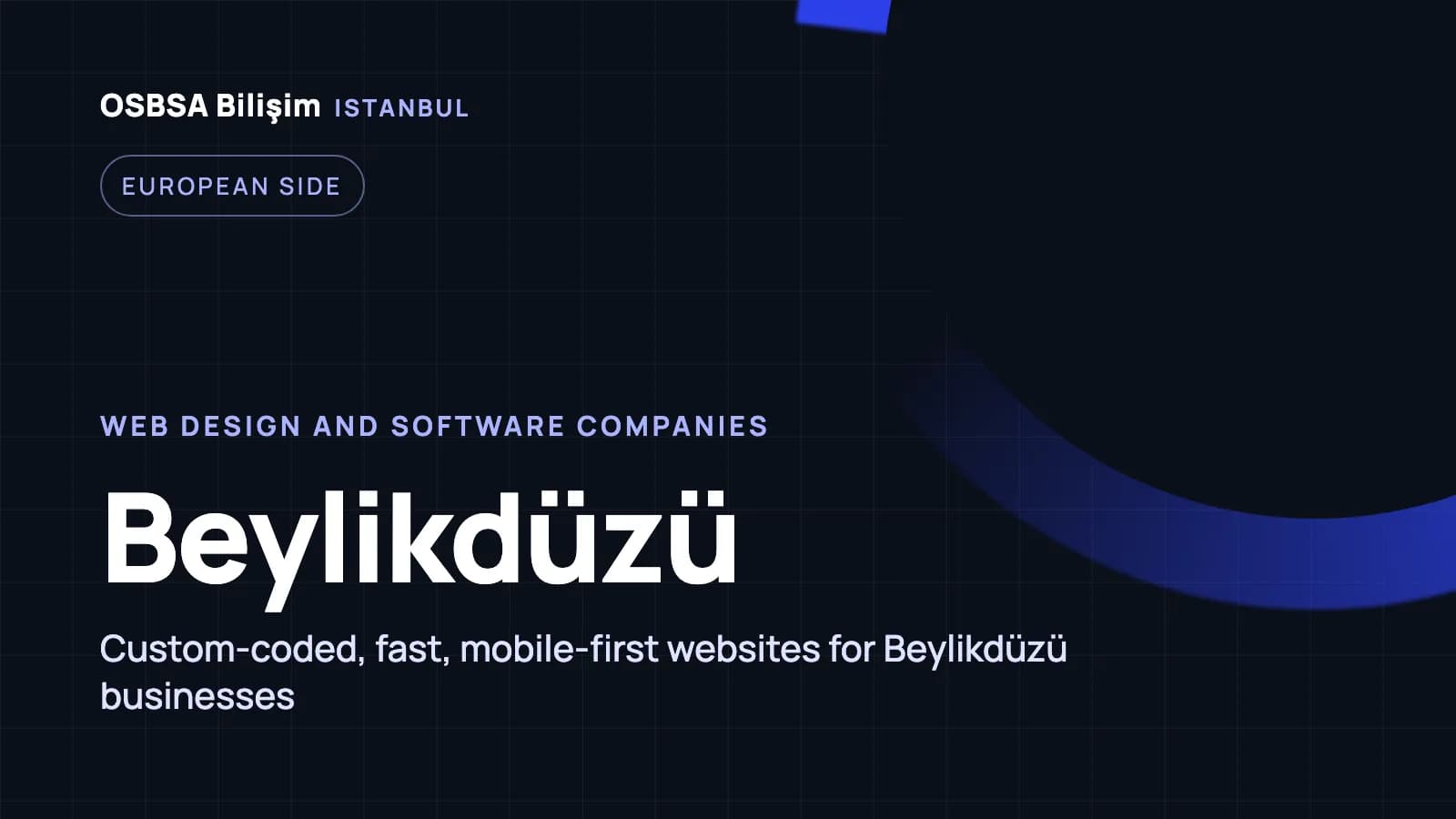 Beylikdüzü web design companies, Beylikdüzü web software agency