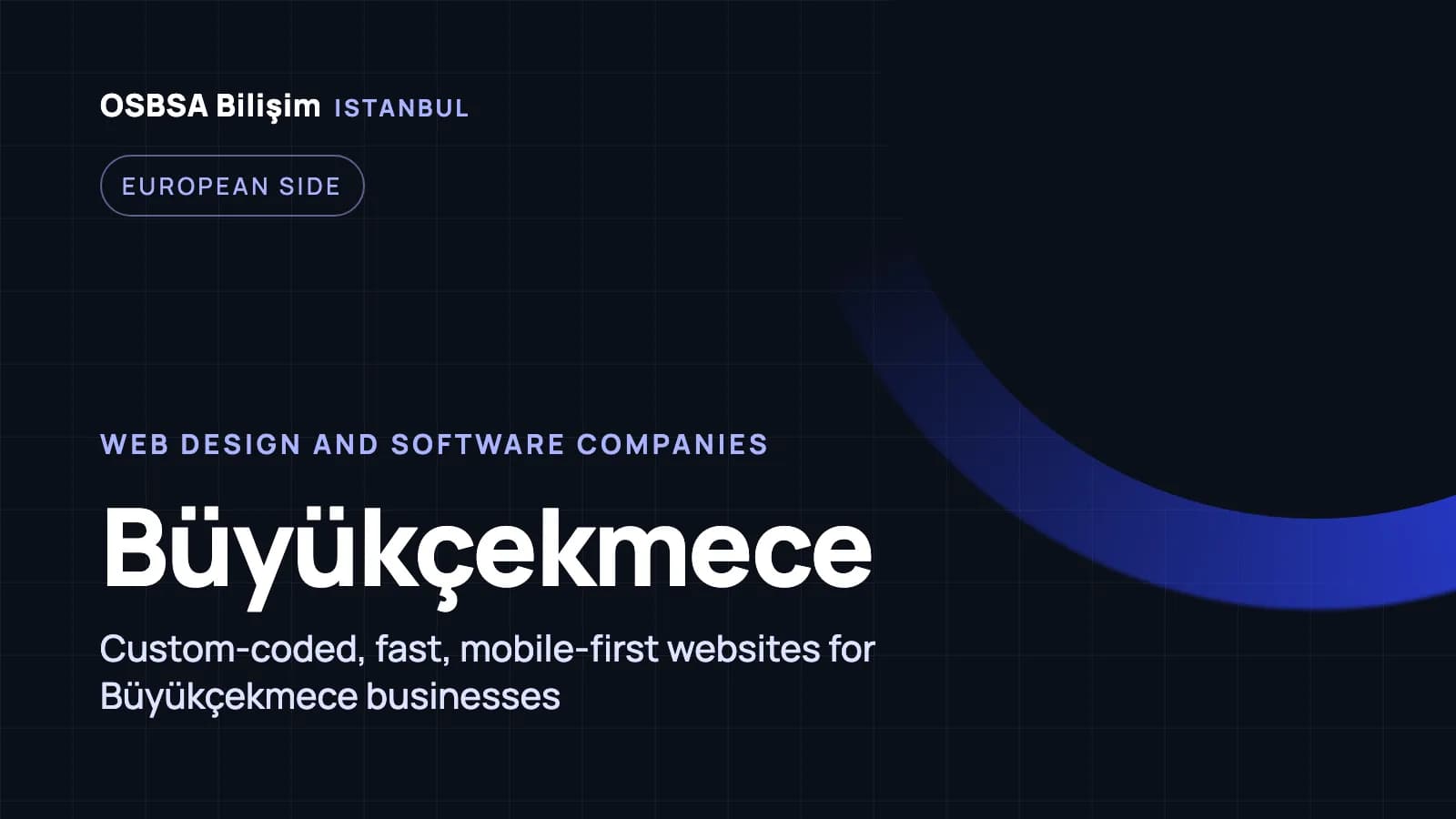 Büyükçekmece web design companies, Büyükçekmece web software agency