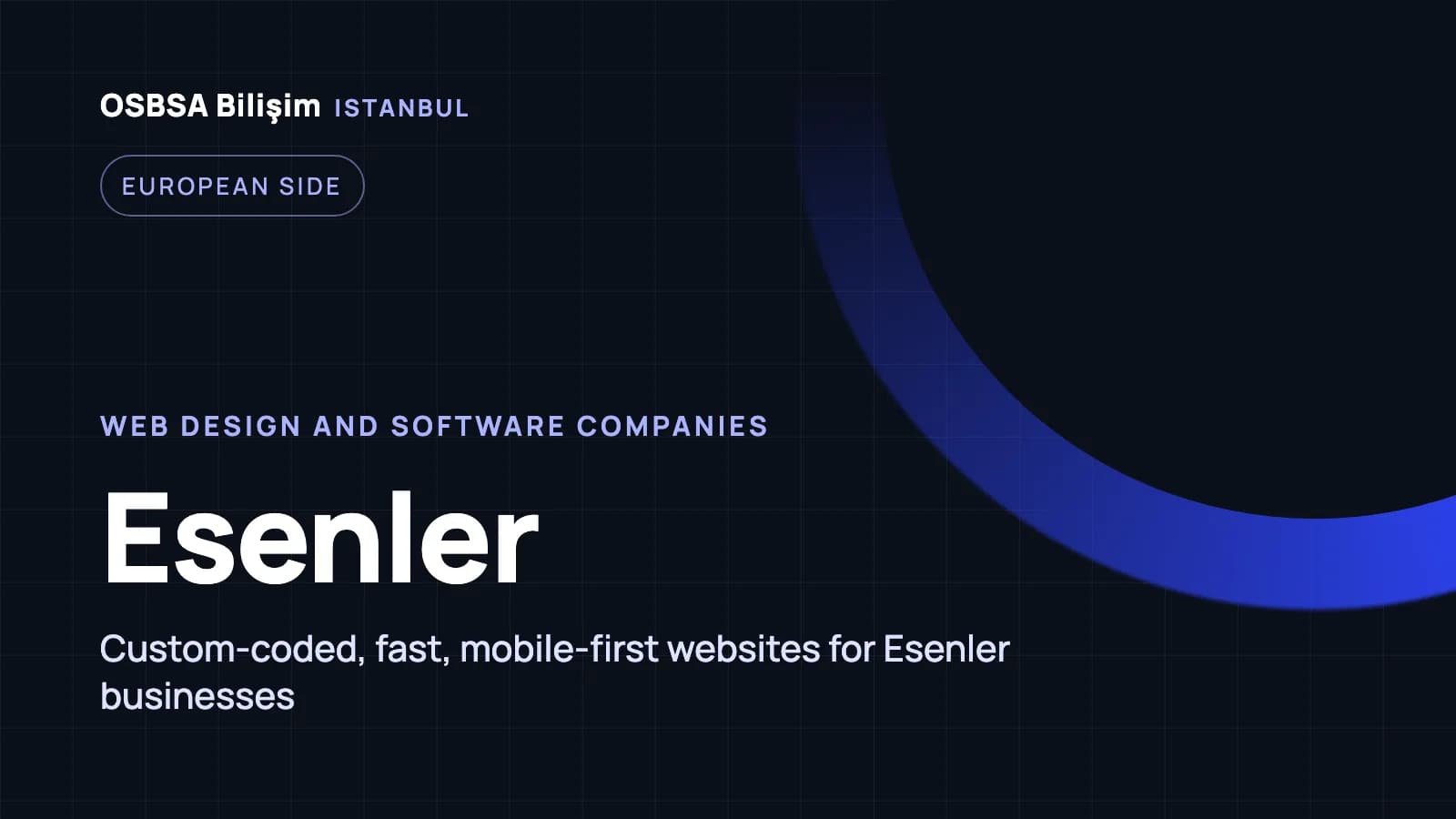 Esenler web design companies, Esenler web software agency