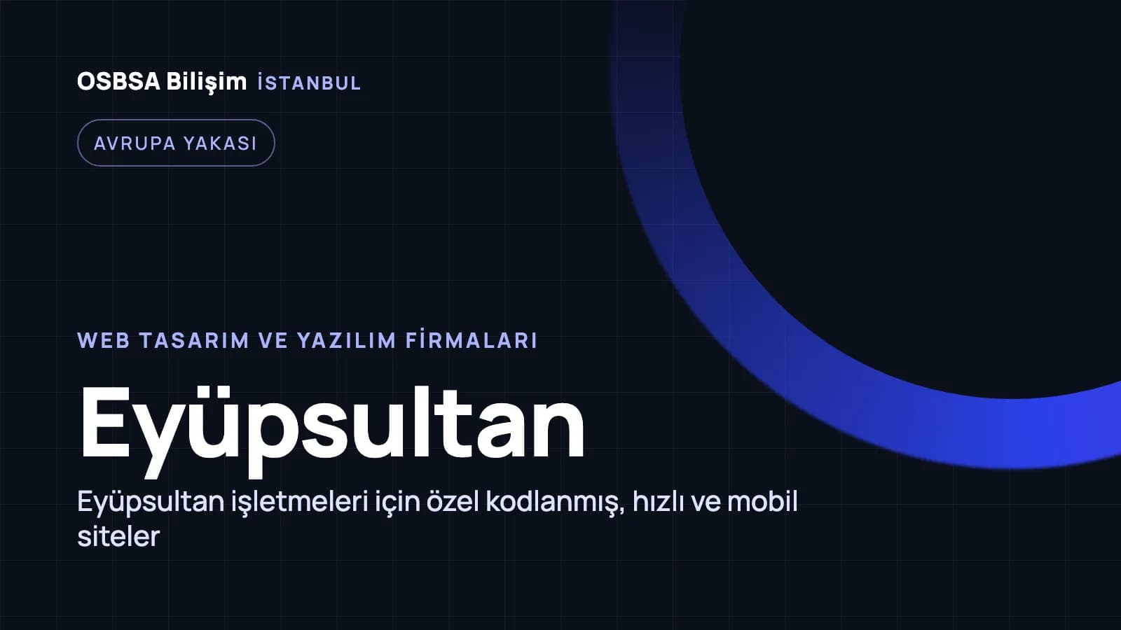 Eyüpsultan web tasarım firmaları, Eyüpsultan web yazılım ajansı