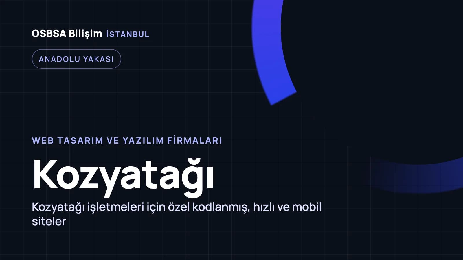 Kozyatağı web tasarım firmaları, Kozyatağı web yazılım ajansı