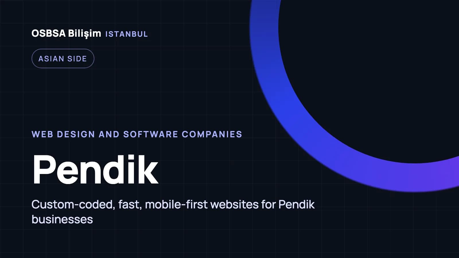 Pendik web design companies, Pendik web software agency