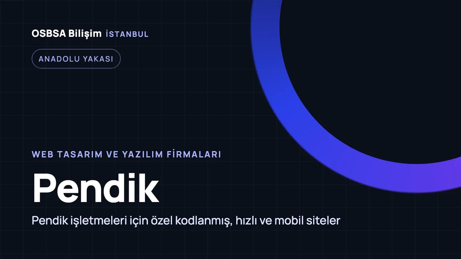 Pendik web tasarım firmaları, Pendik web yazılım ajansı