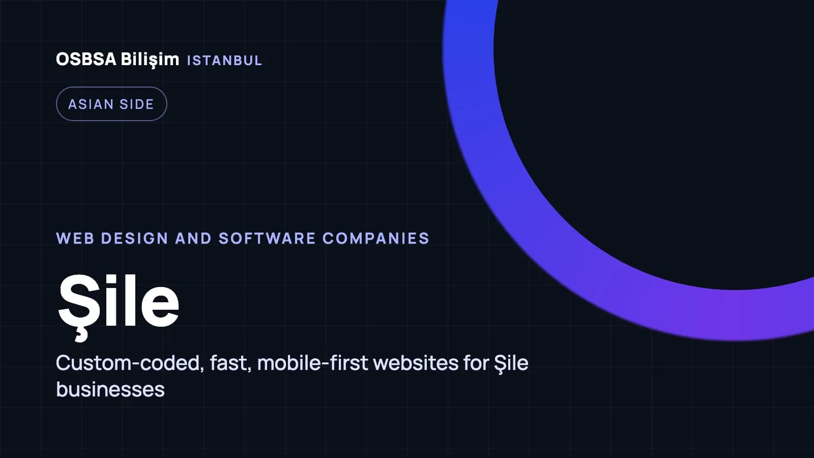 Şile web design companies, Şile web software agency