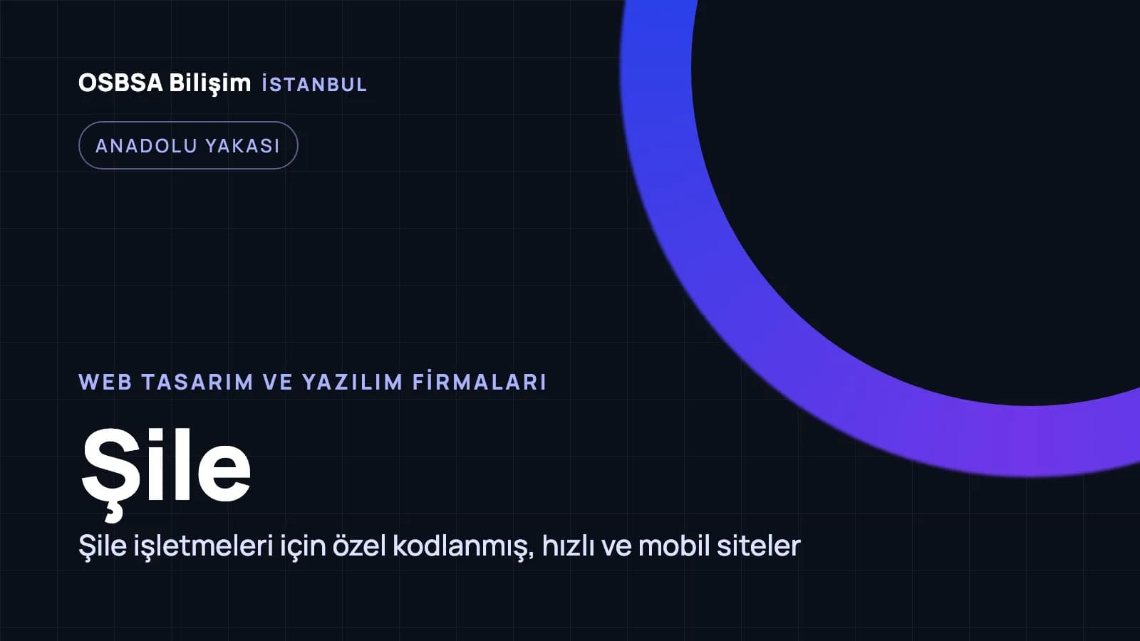 Şile web tasarım firmaları, Şile web yazılım ajansı