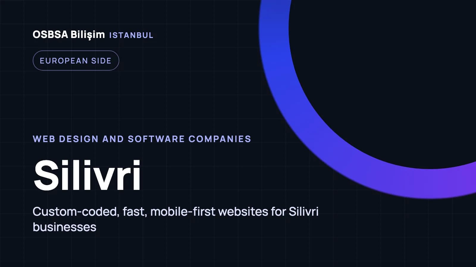 Silivri web design companies, Silivri web software agency