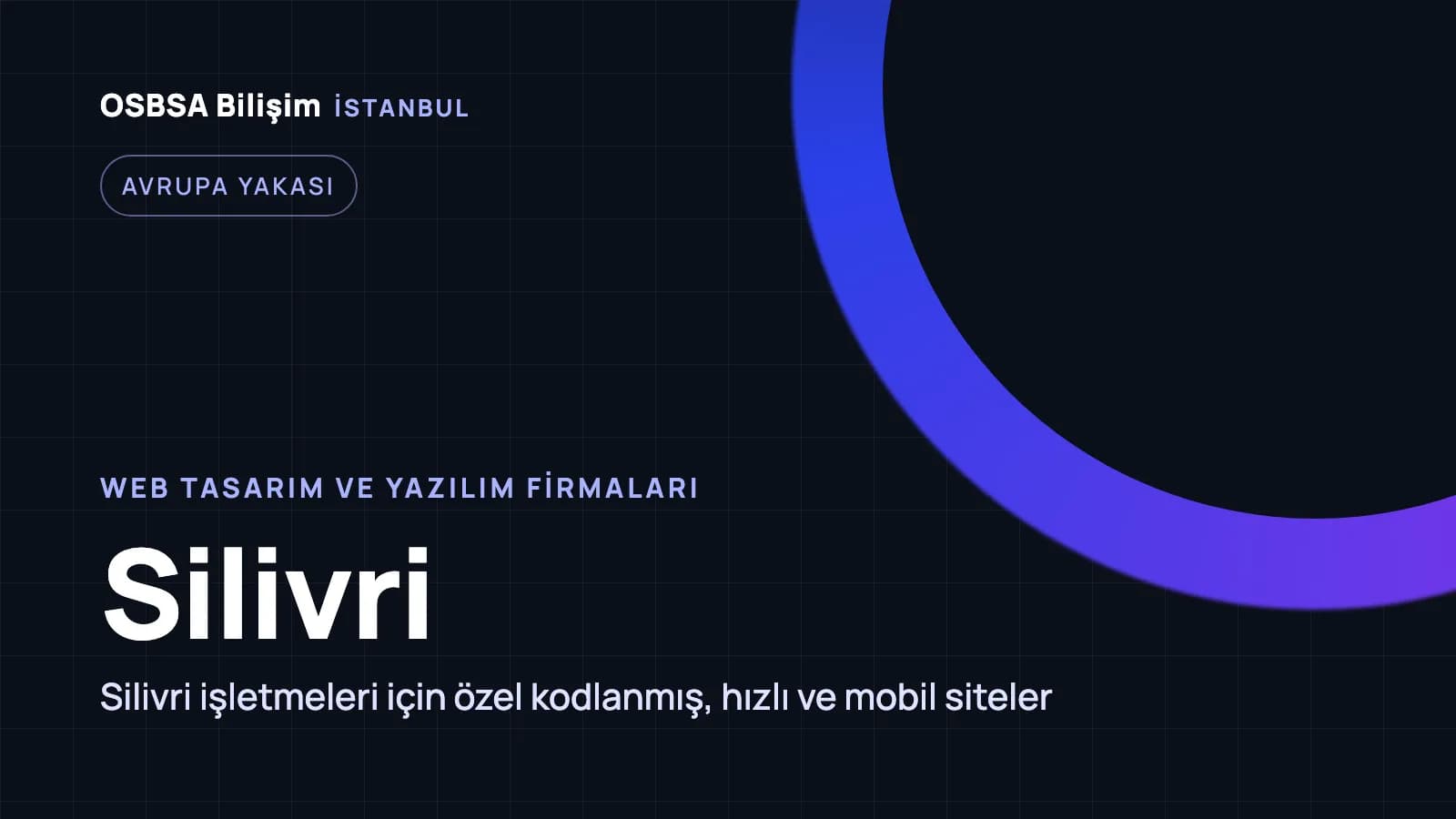 Silivri web tasarım firmaları, Silivri web yazılım ajansı