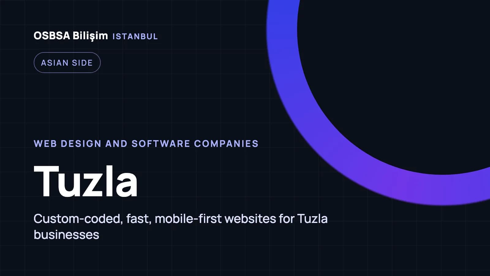 Tuzla web design companies, Tuzla web software agency