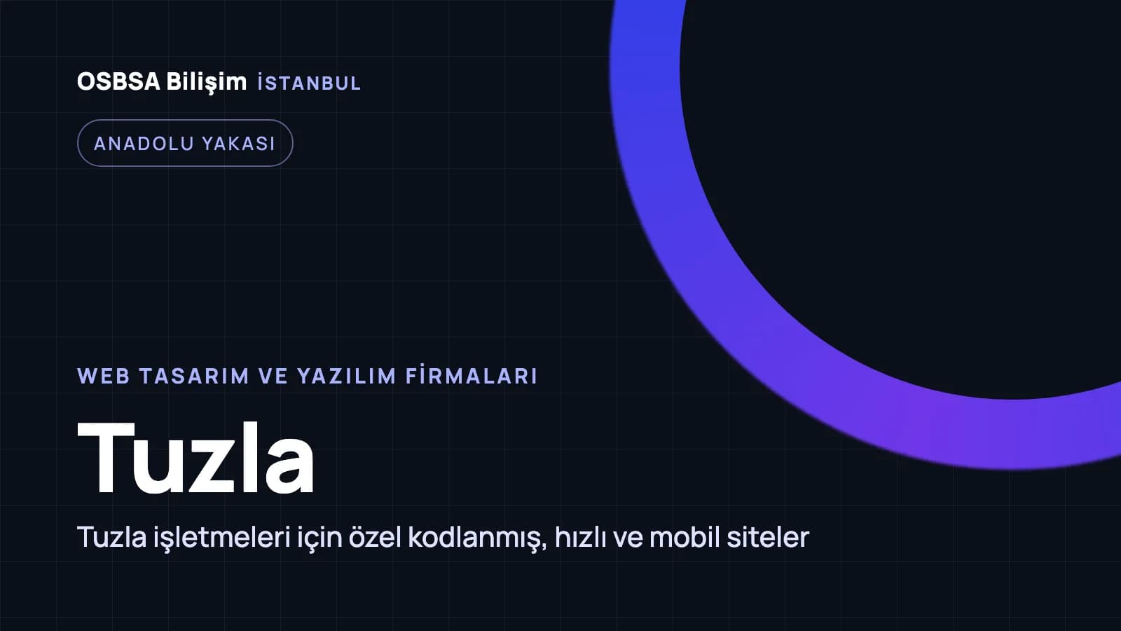 Tuzla web tasarım firmaları, Tuzla web yazılım ajansı