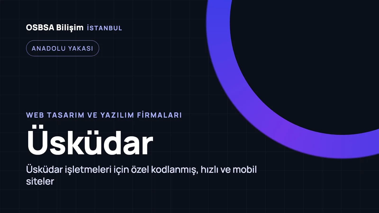 Üsküdar web tasarım firmaları, Üsküdar web yazılım ajansı