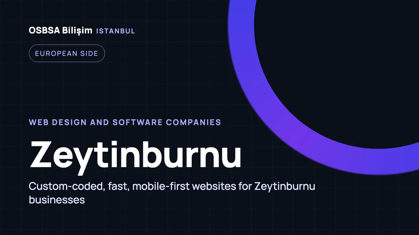 Zeytinburnu web design companies, Zeytinburnu web software agency