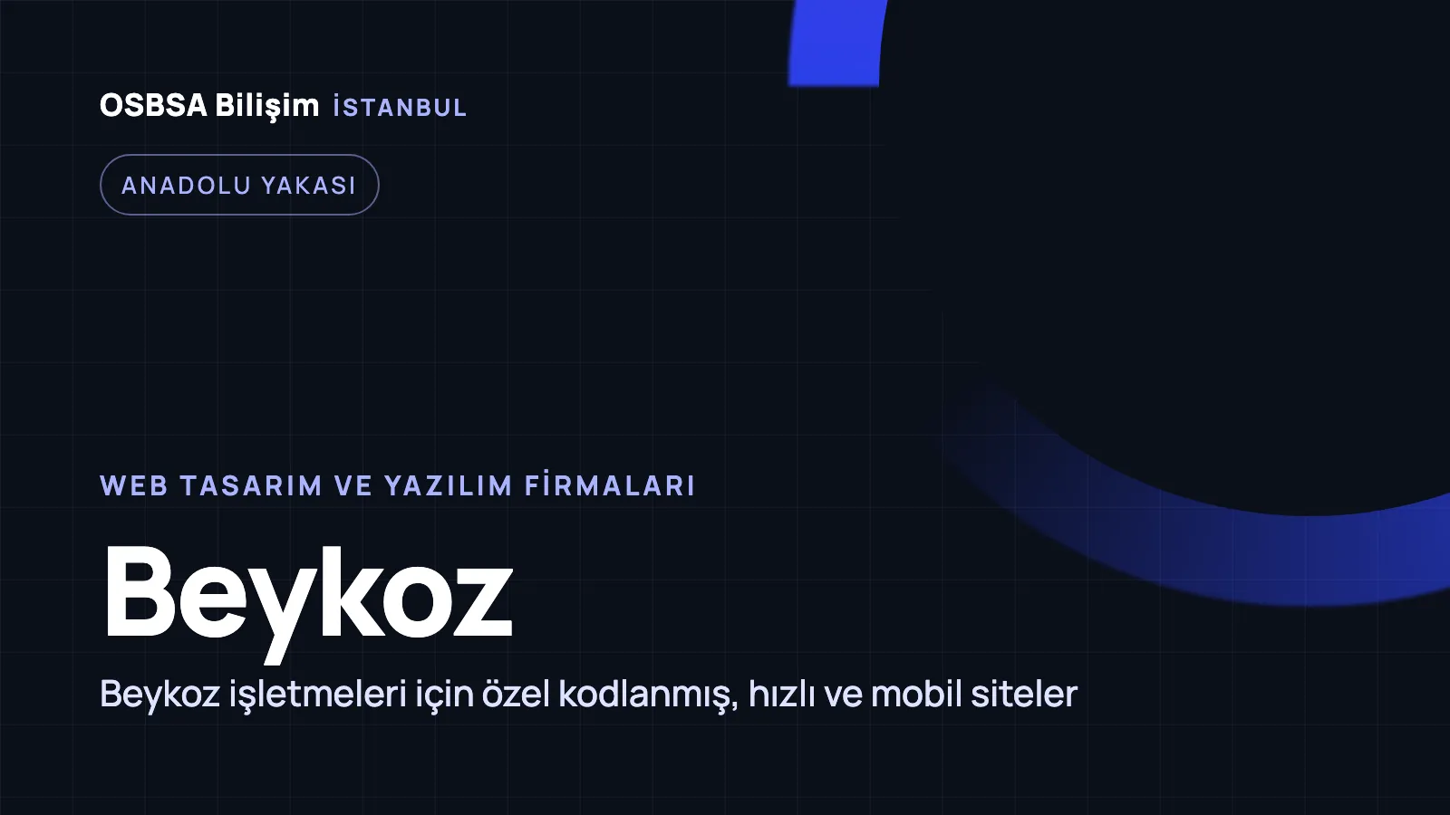 Beykoz Web Tasarım - OSBSA Bilişim