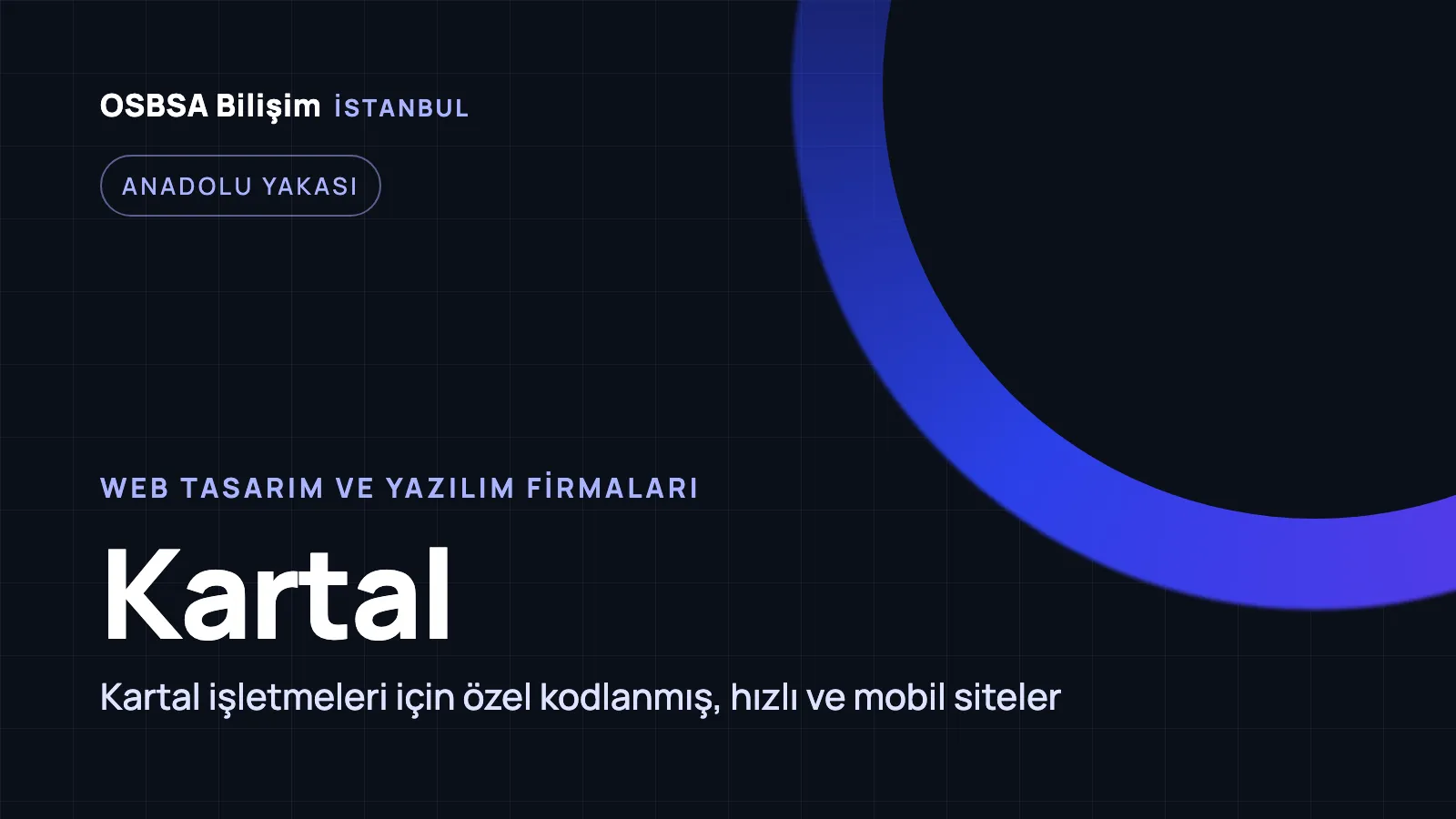 Kartal Web Tasarım - OSBSA Bilişim