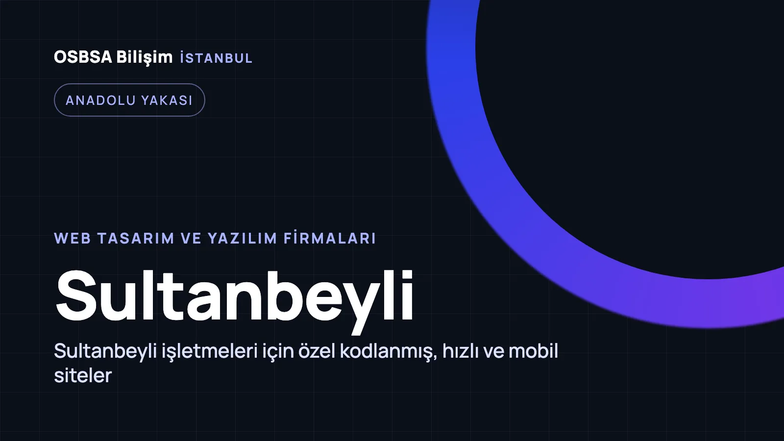 Sultanbeyli Web Tasarım - OSBSA Bilişim